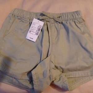 Light Green Casual Shorts